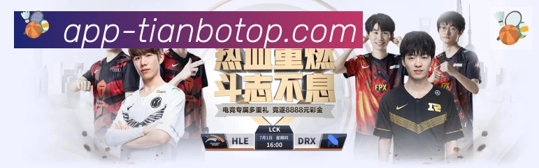互动解说服务